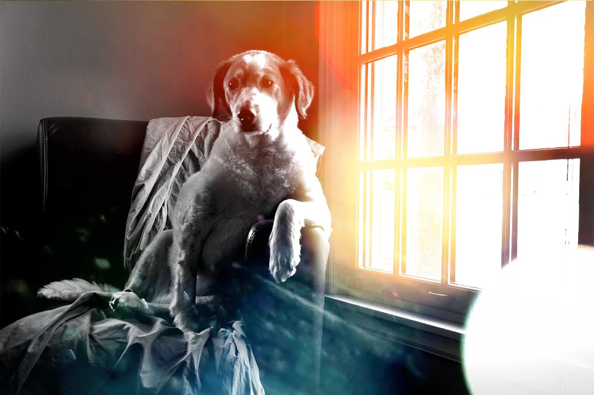 Add Bokeh Overlay Photoshop Actions Add Bokeh Overlay Photoshop Actions