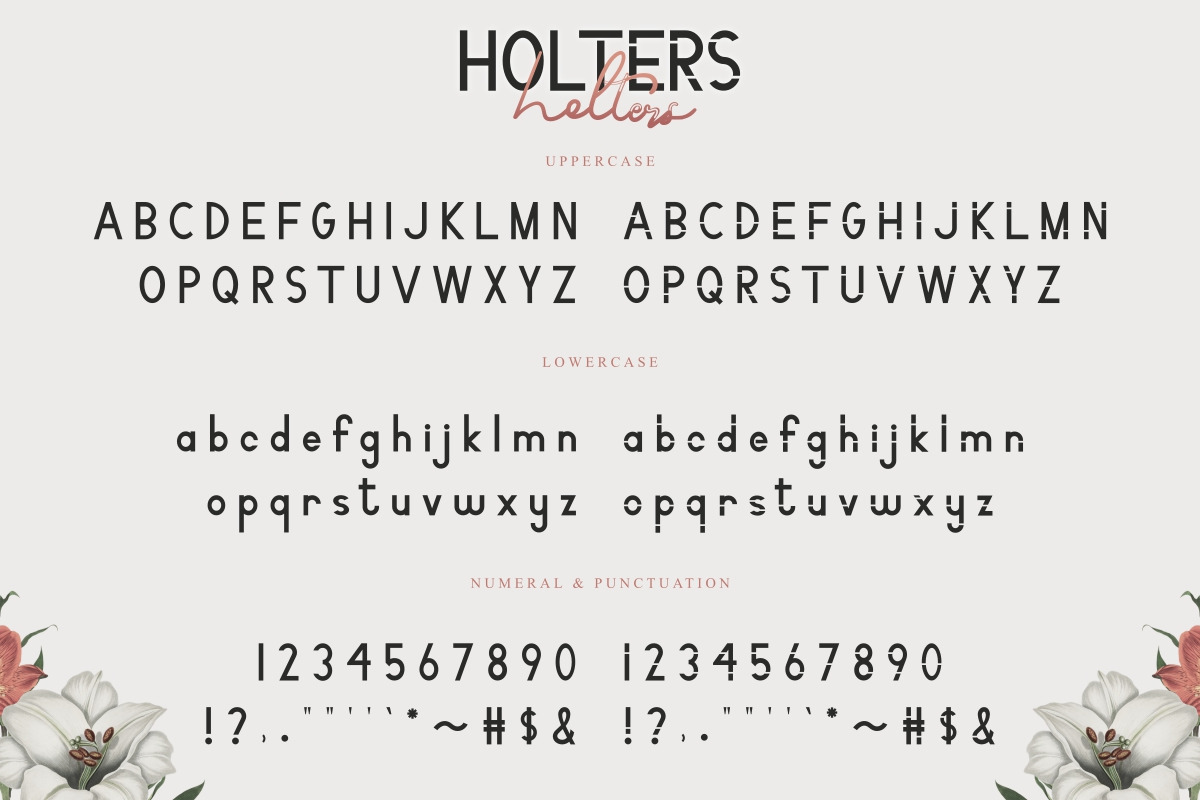 Holters Script Font Holters Script Font