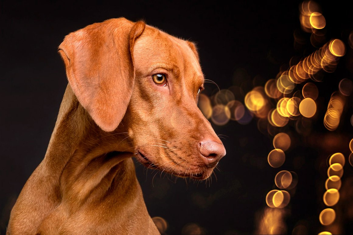 Golden Bokeh Photo Overlay Effects Golden Bokeh Photo Overlay Effects