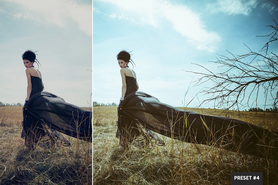 Split Tone LR Presets Mobile + Desktop Split Tone LR Presets Mobile + Desktop