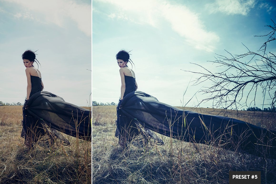 Split Tone LR Presets Mobile + Desktop Split Tone LR Presets Mobile + Desktop