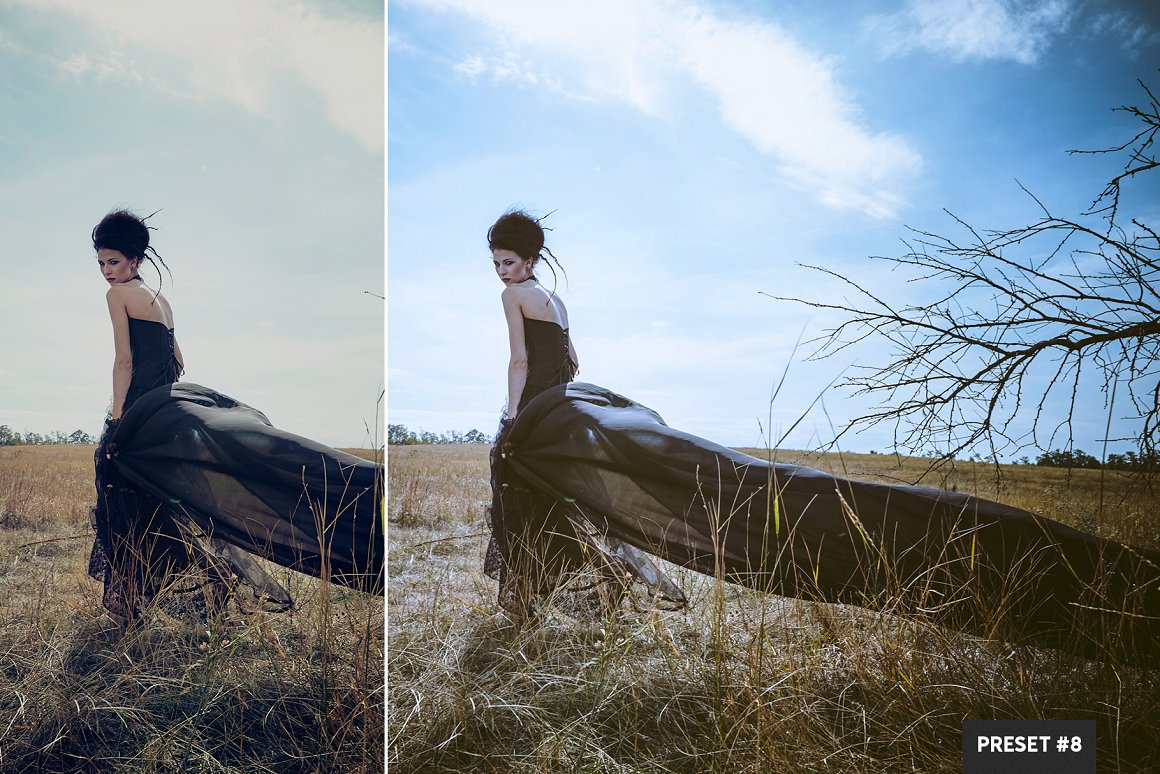 Split Tone LR Presets Mobile + Desktop Split Tone LR Presets Mobile + Desktop