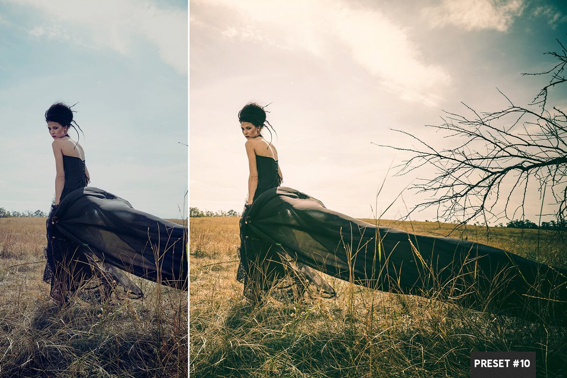 Split Tone LR Presets Mobile + Desktop Split Tone LR Presets Mobile + Desktop