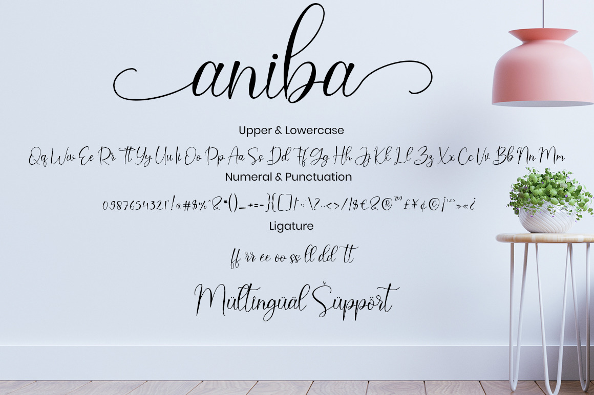 Aniba Font