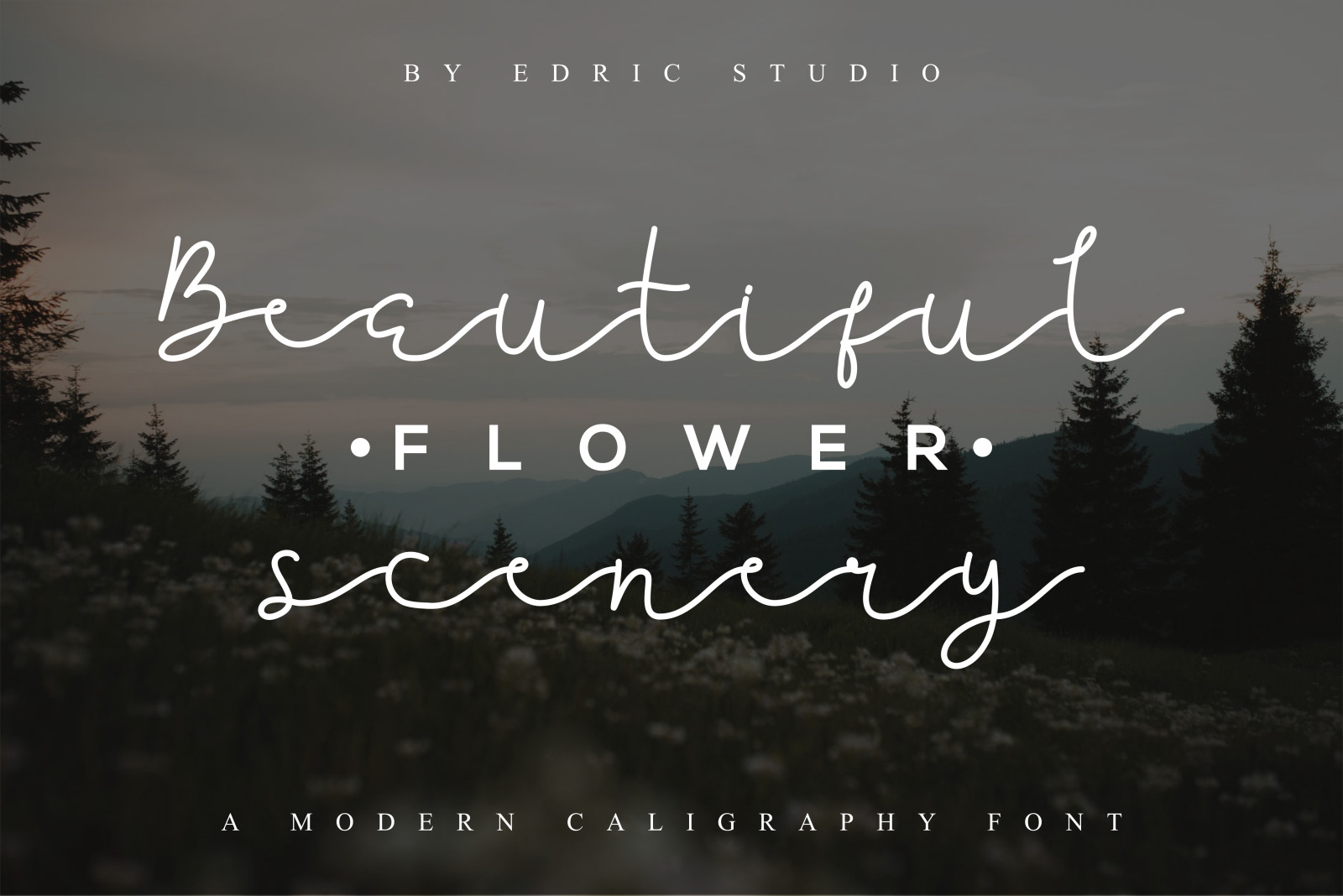 Jellita Calligraphy Font Jellita Calligraphy Font