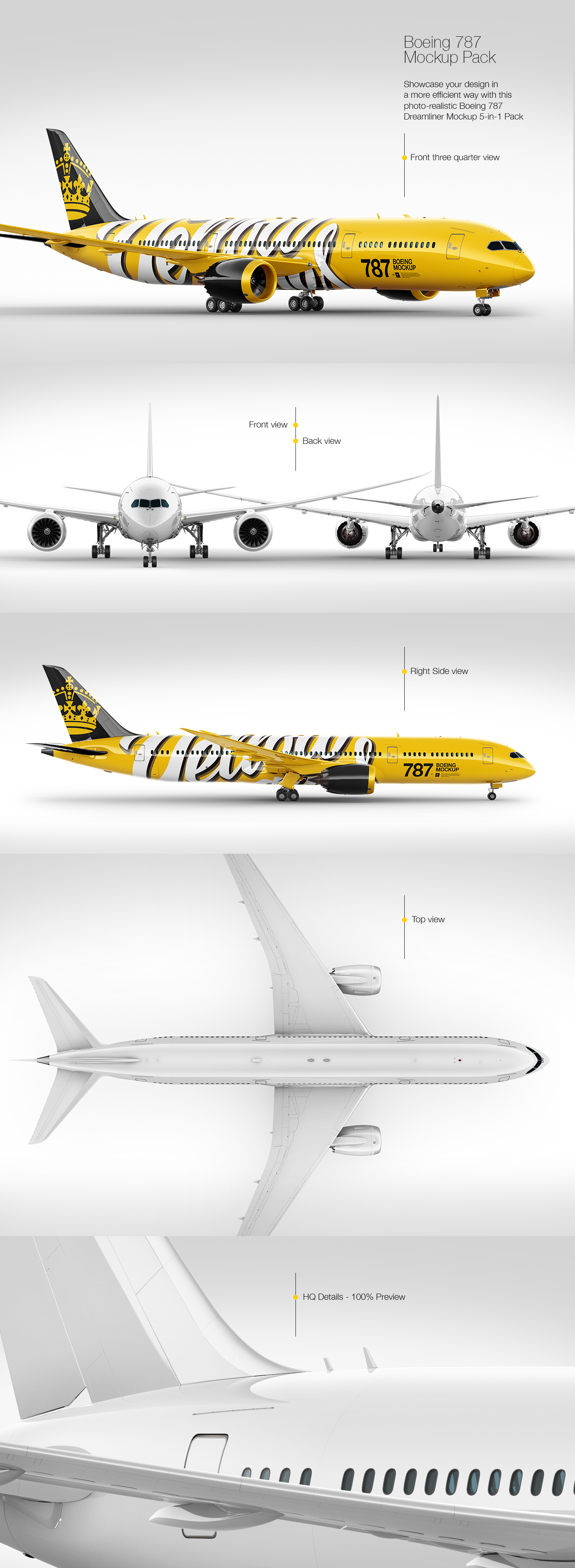 Boeing 787 Dreamliner Mockup Pack