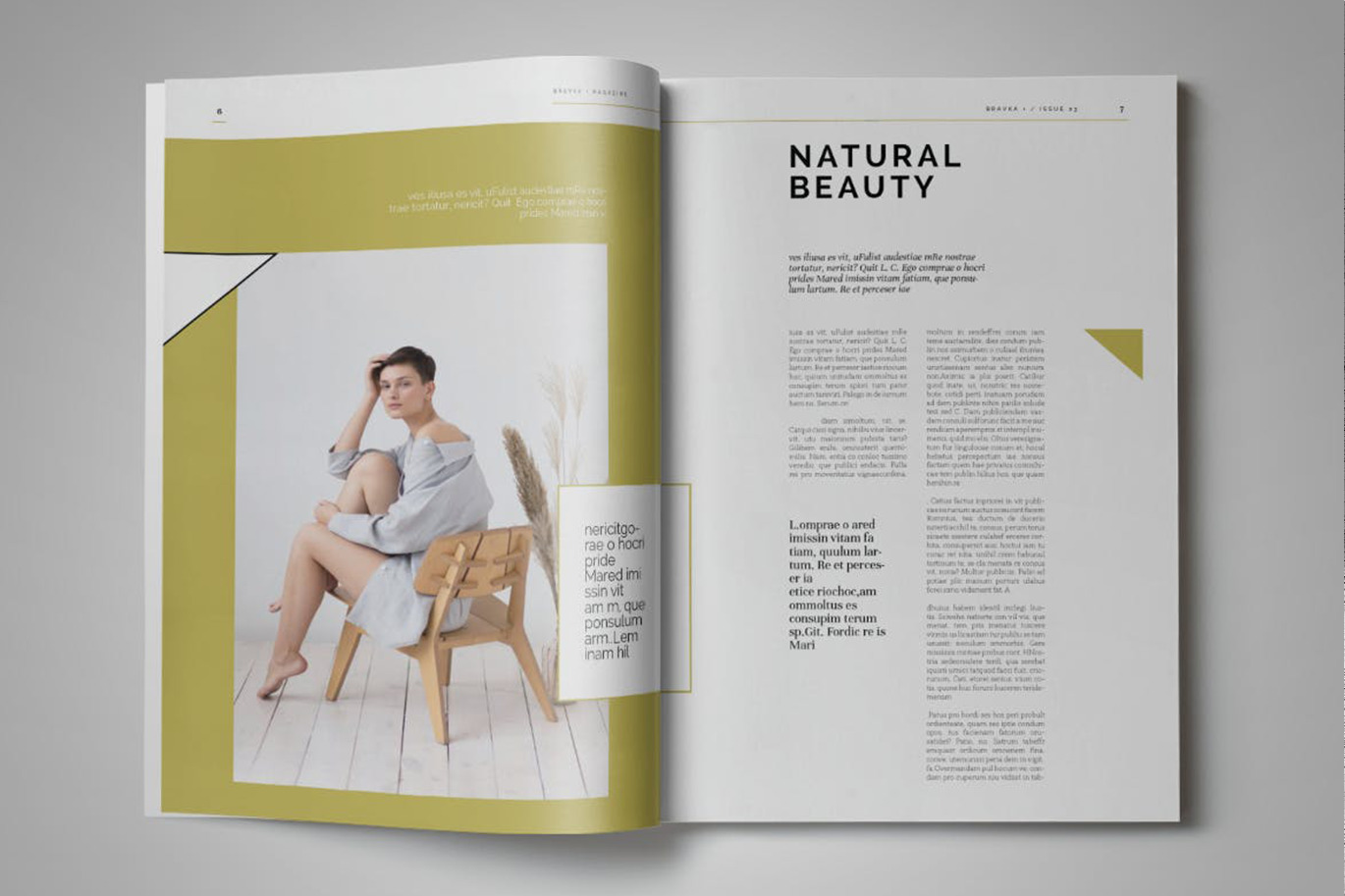 Bravka+ | magazine Template