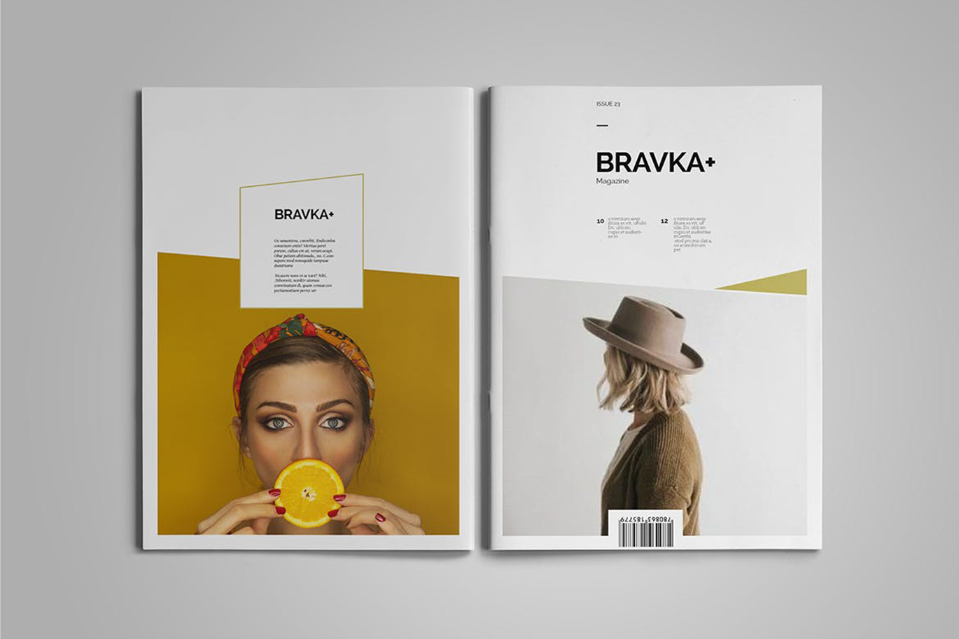 Bravka+ | magazine Template