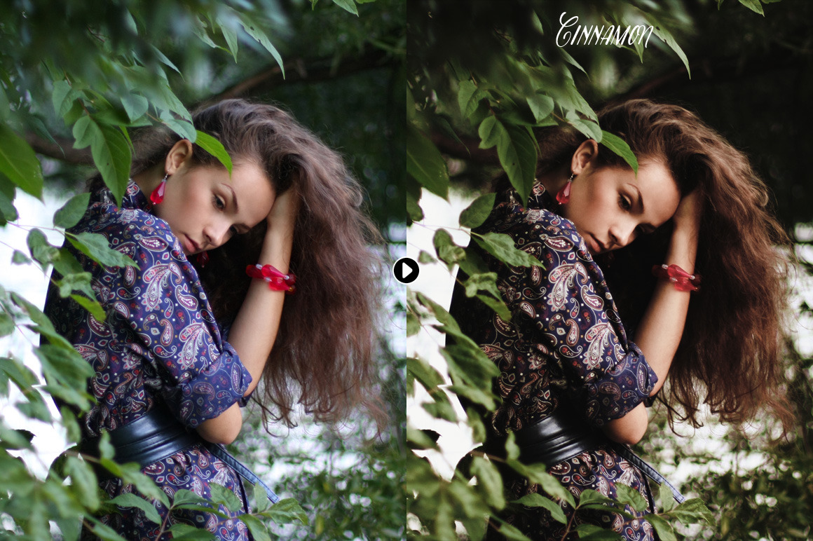 Cinnamon Portrait Actions Cinnamon Portrait Actions