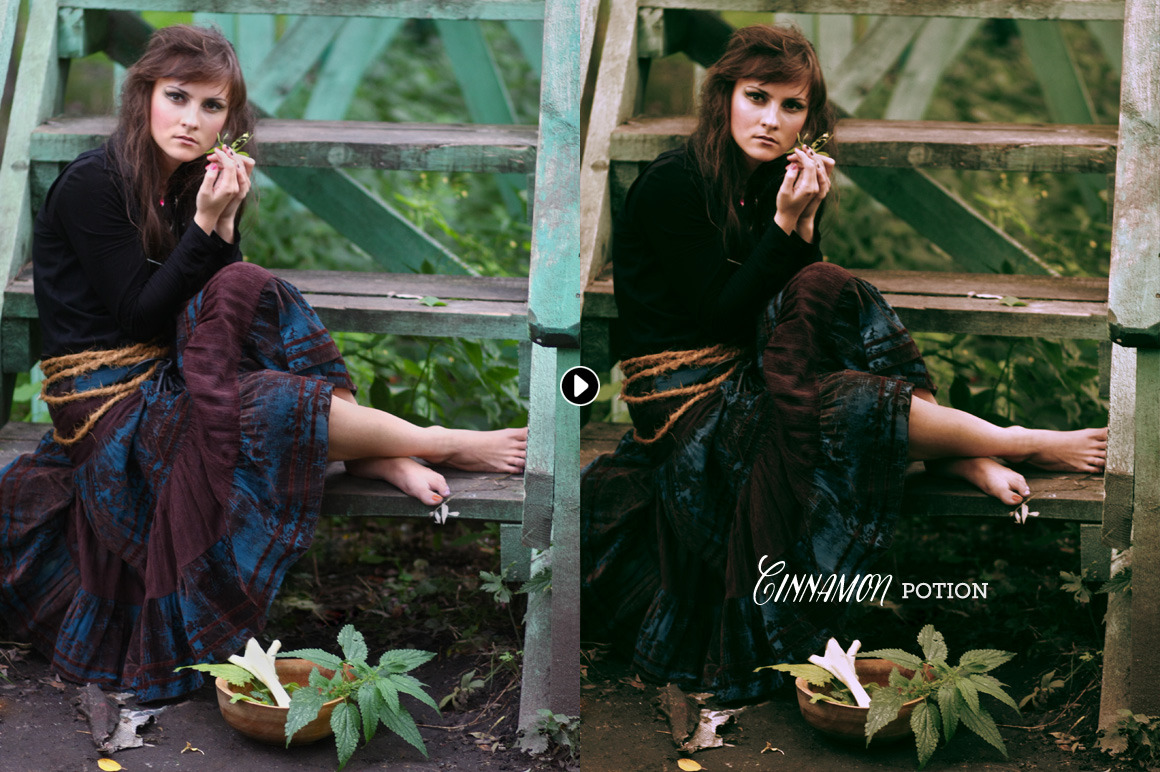Cinnamon Portrait Actions Cinnamon Portrait Actions