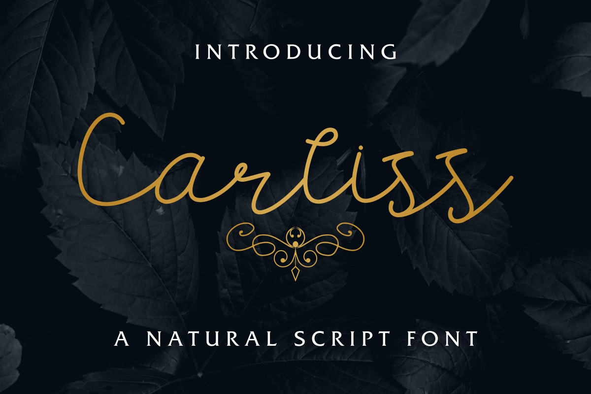 Carllis Script Font Carllis Script Font