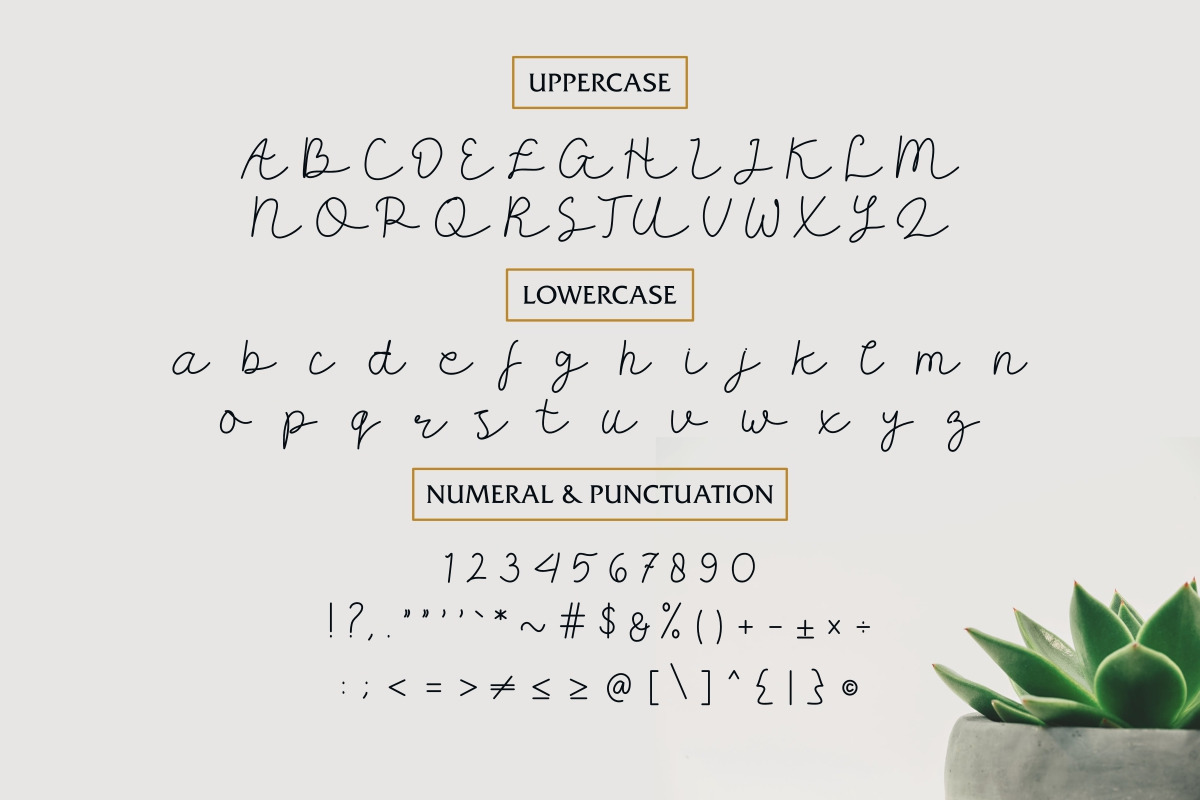 Carllis Script Font Carllis Script Font