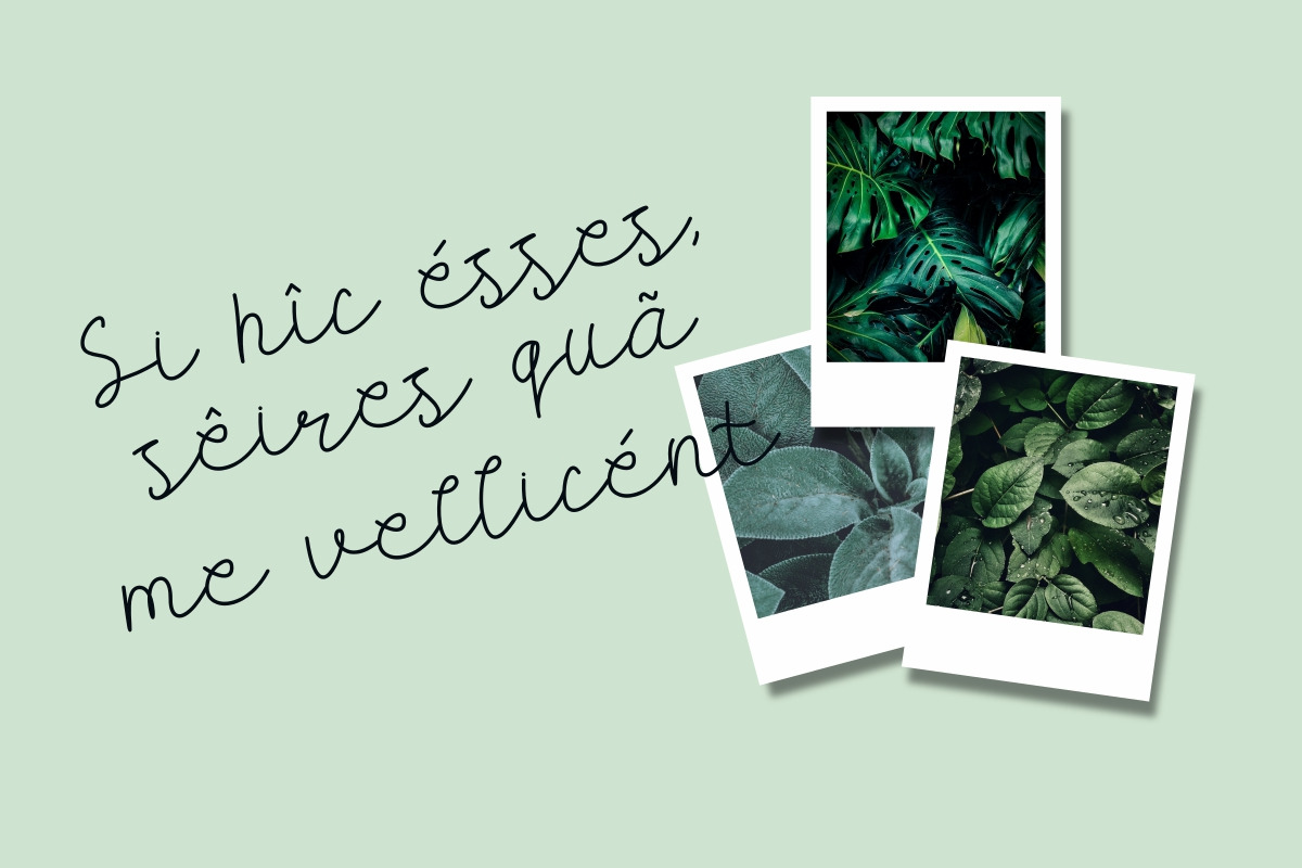Carllis Script Font Carllis Script Font