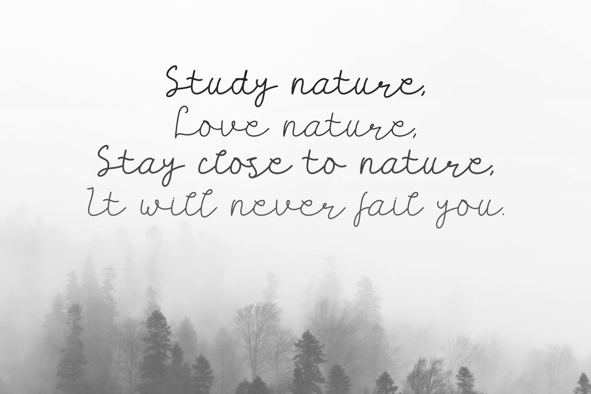 Carllis Script Font Carllis Script Font