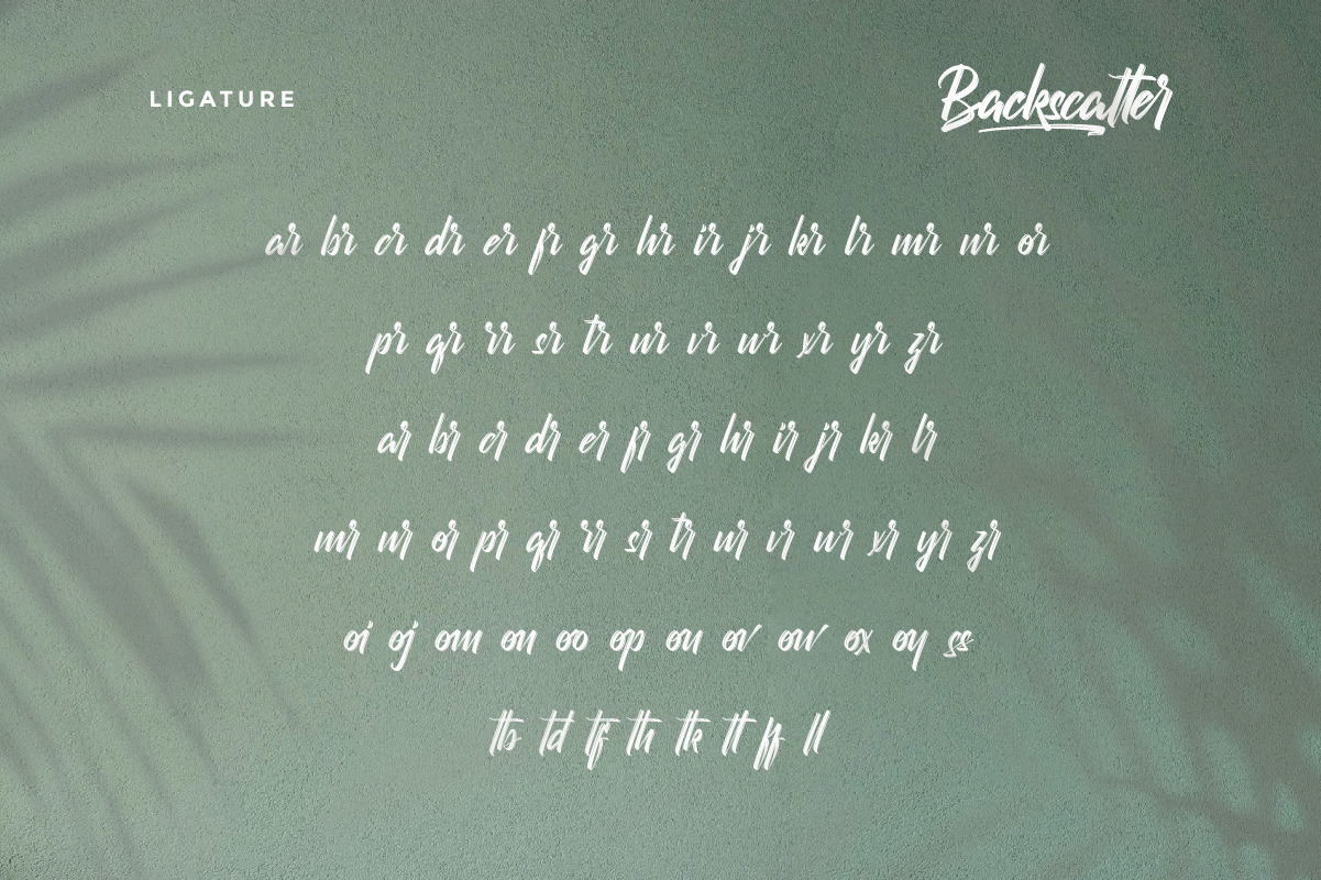 Backscatter Brush Script Font Backscatter Brush Script Font