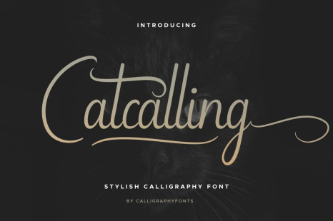 Catcalling Calligraphy Font - Beautiful