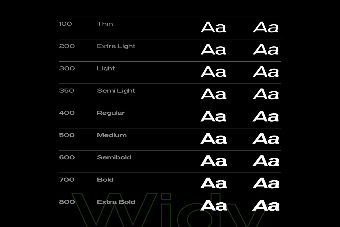 Widy Font Family Widy Font Family