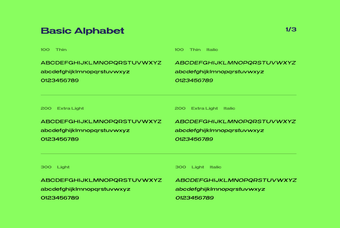 Widy Font Family Widy Font Family