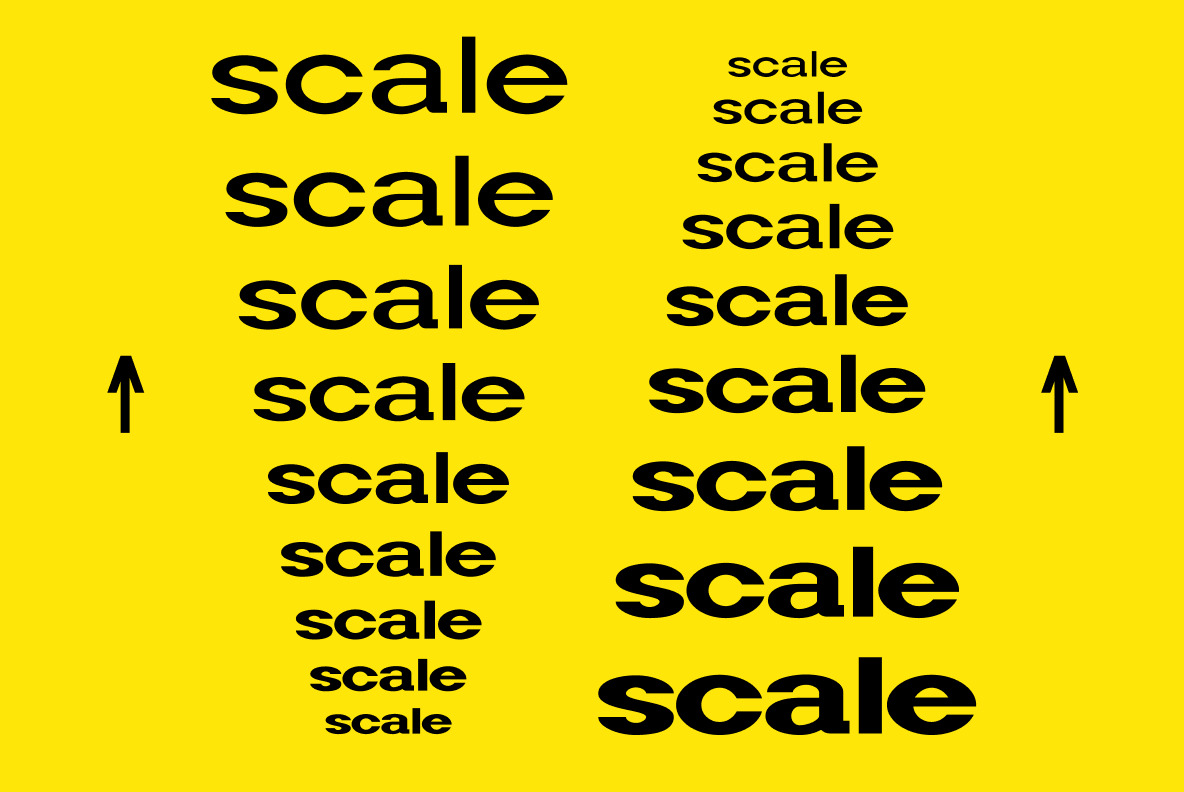 Widy Font Family Widy Font Family