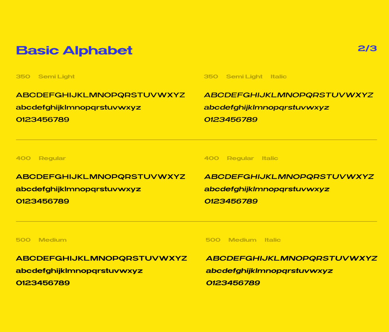 Widy Font Family Widy Font Family