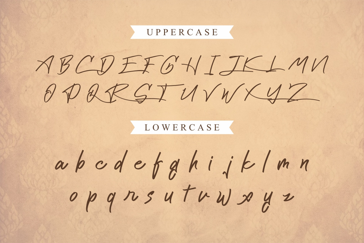 Cattily Calligraphy Font Cattily Calligraphy Font