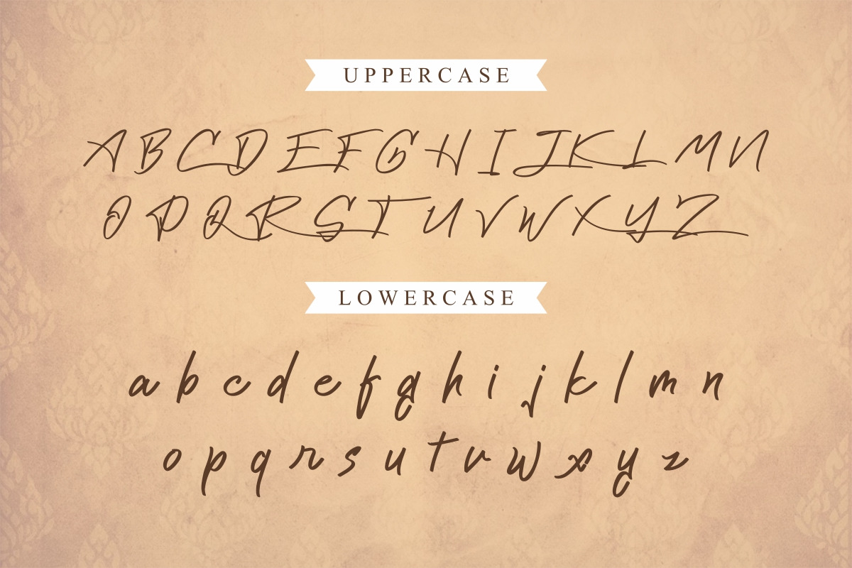 Cattily Calligraphy Font