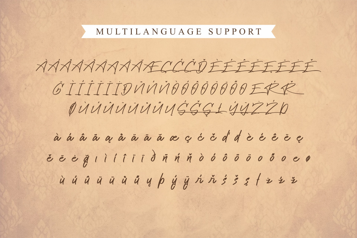 Cattily Calligraphy Font