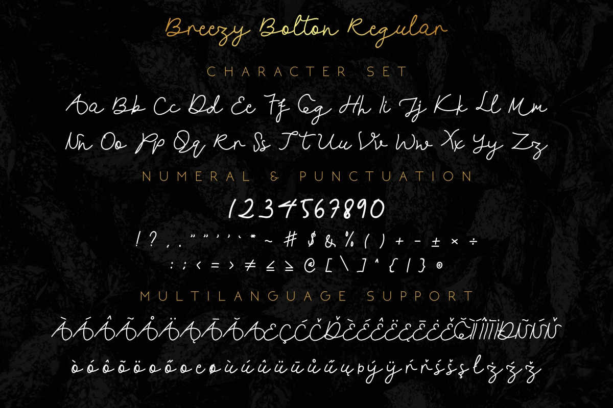Breezy Bolton Font Duo Breezy Bolton Font Duo