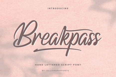 Breakpass Hand Brush Font - Natural light