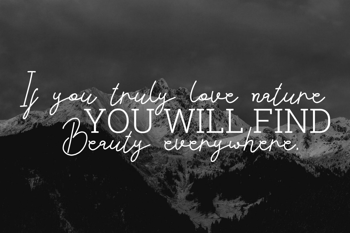 Acilla Tristan Handwriting Font Acilla Tristan Handwriting Font