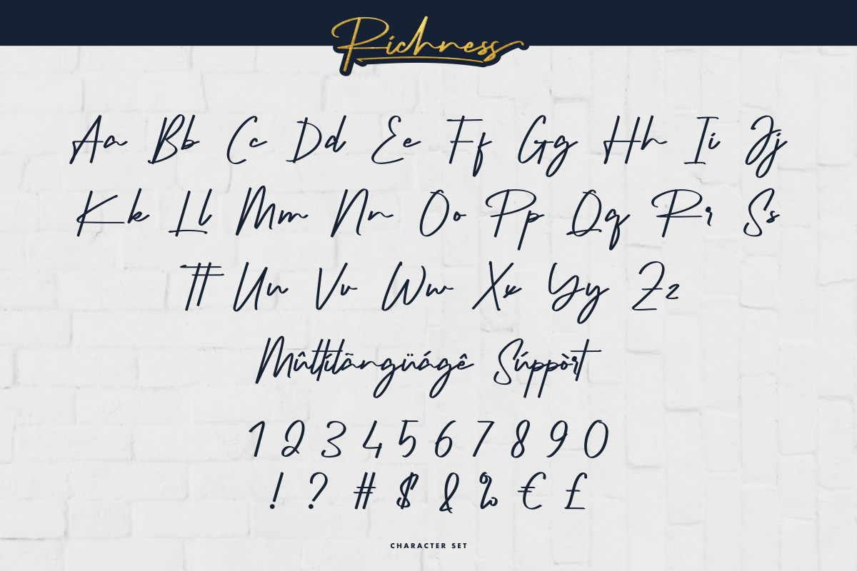 Richness Signature Font Richness Signature Font