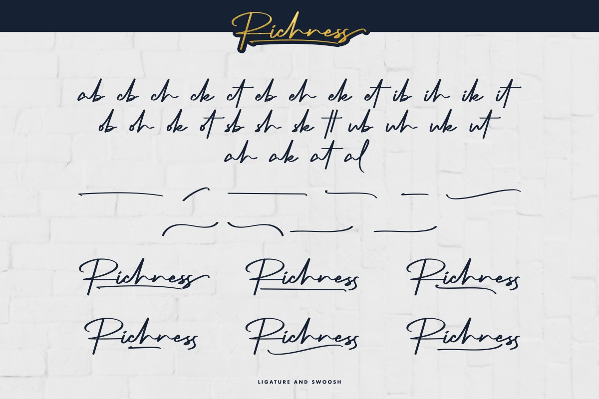 Richness Signature Font Richness Signature Font