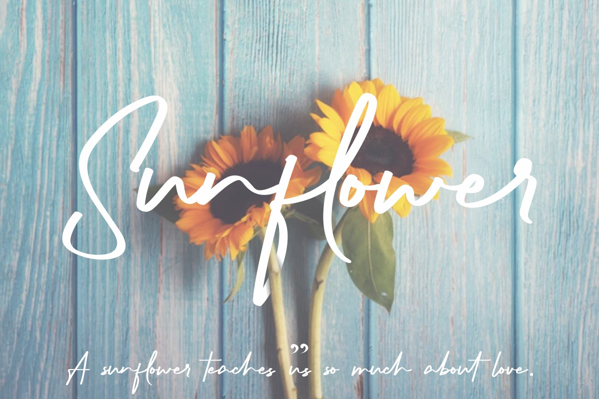 Richness Signature Font Richness Signature Font