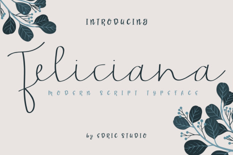 Feliciana Handwritten Font - Lawyers