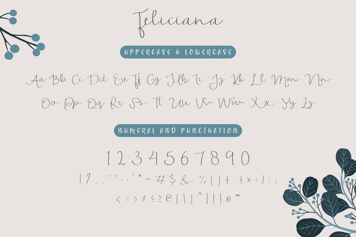 Feliciana Handwritten Font Feliciana Handwritten Font