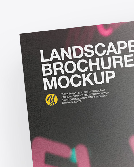 Two Brochures Mockup