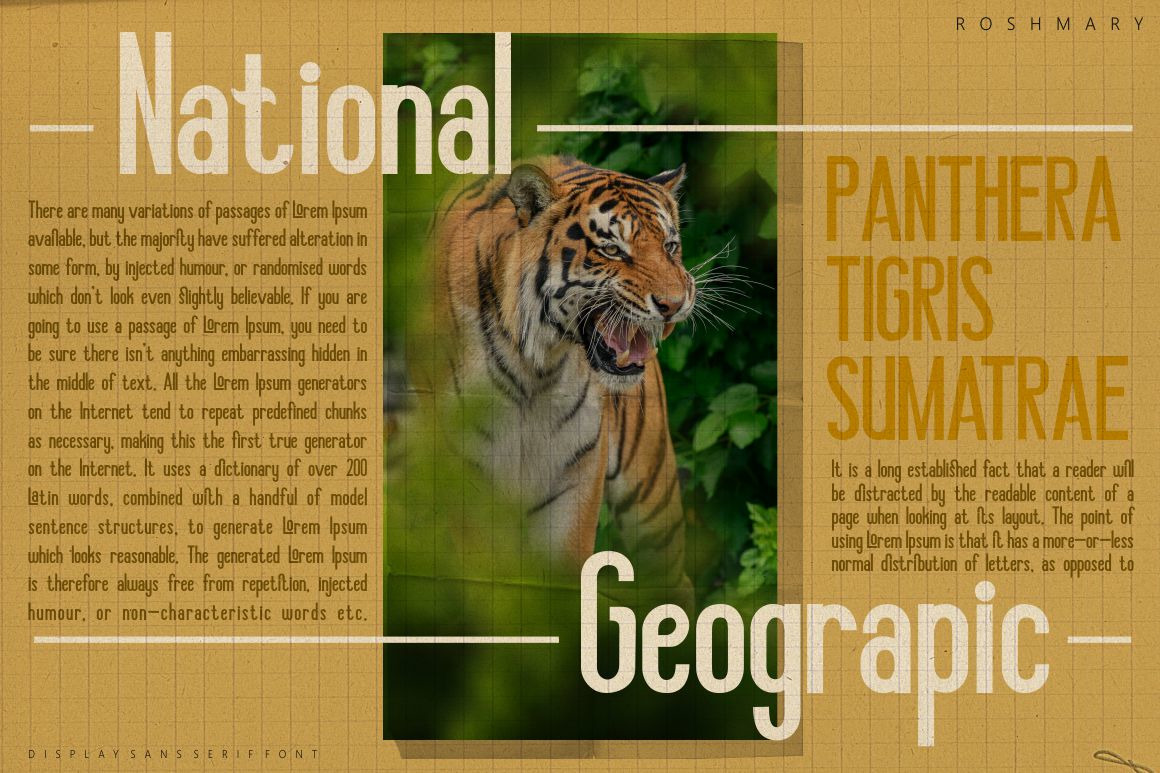 Roshmary - Display Sans Serif Font Roshmary - Display Sans Serif Font