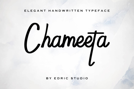 Chameeta Handwritten Font - Summer scripts