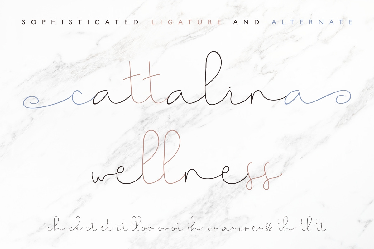 Choerunnisa Signature Font Choerunnisa Signature Font