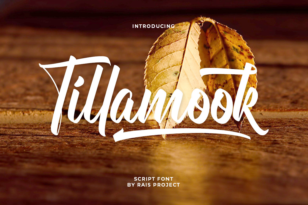 Tillamook Brush Script Font Tillamook Brush Script Font