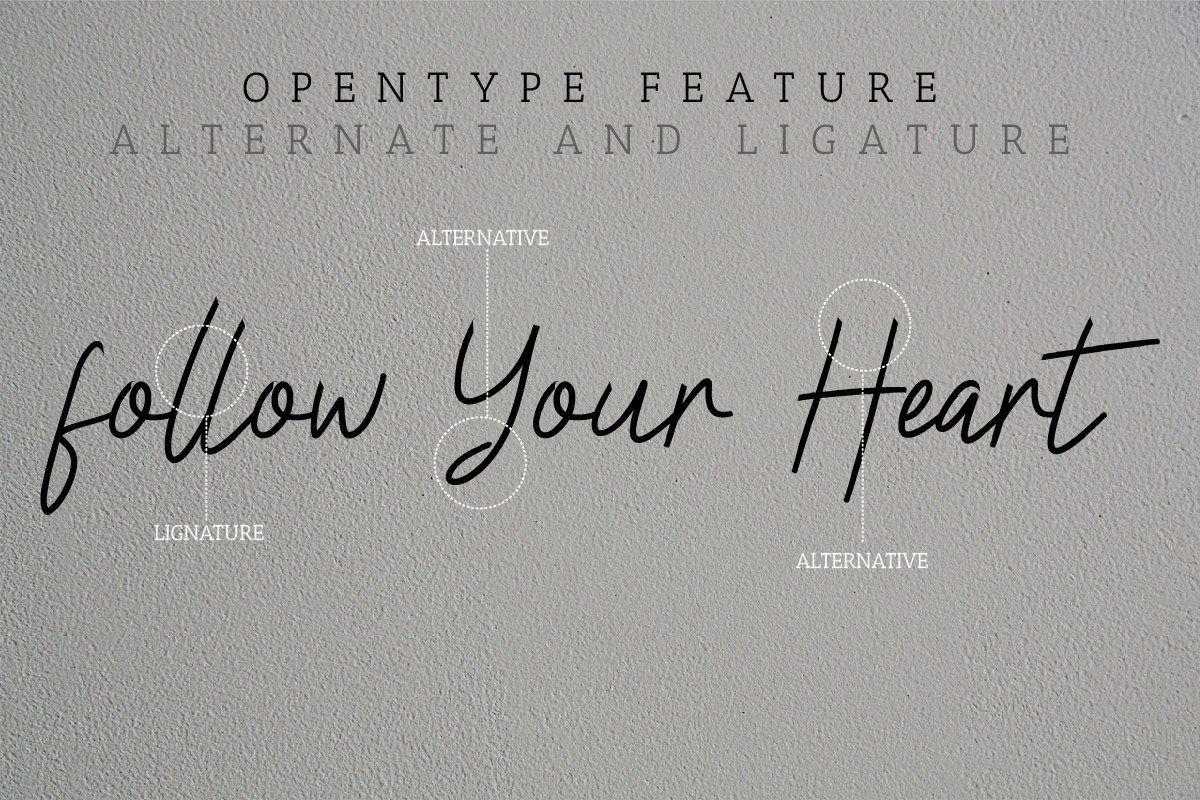 Claressa Signature Font Claressa Signature Font
