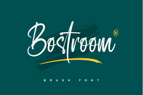 Bostroom - Brush Font - International