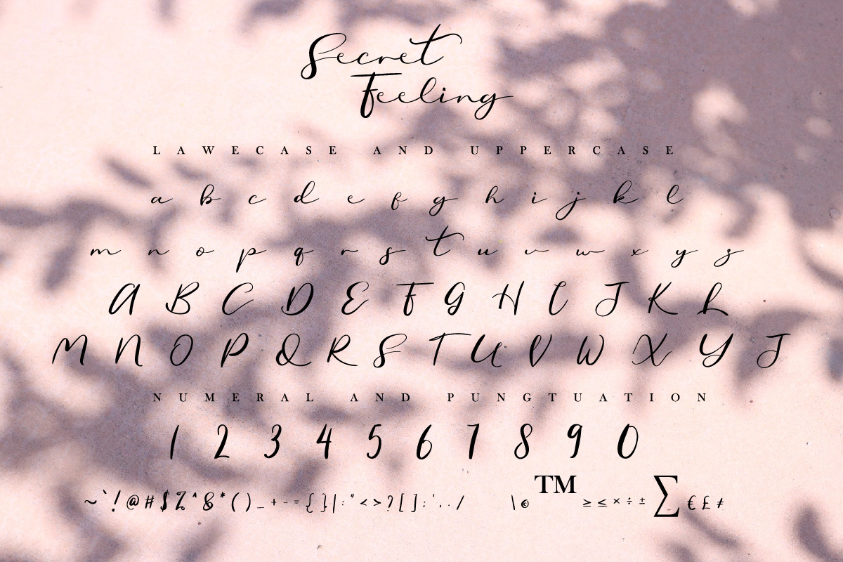 Secret Feeling Calligraphy Font