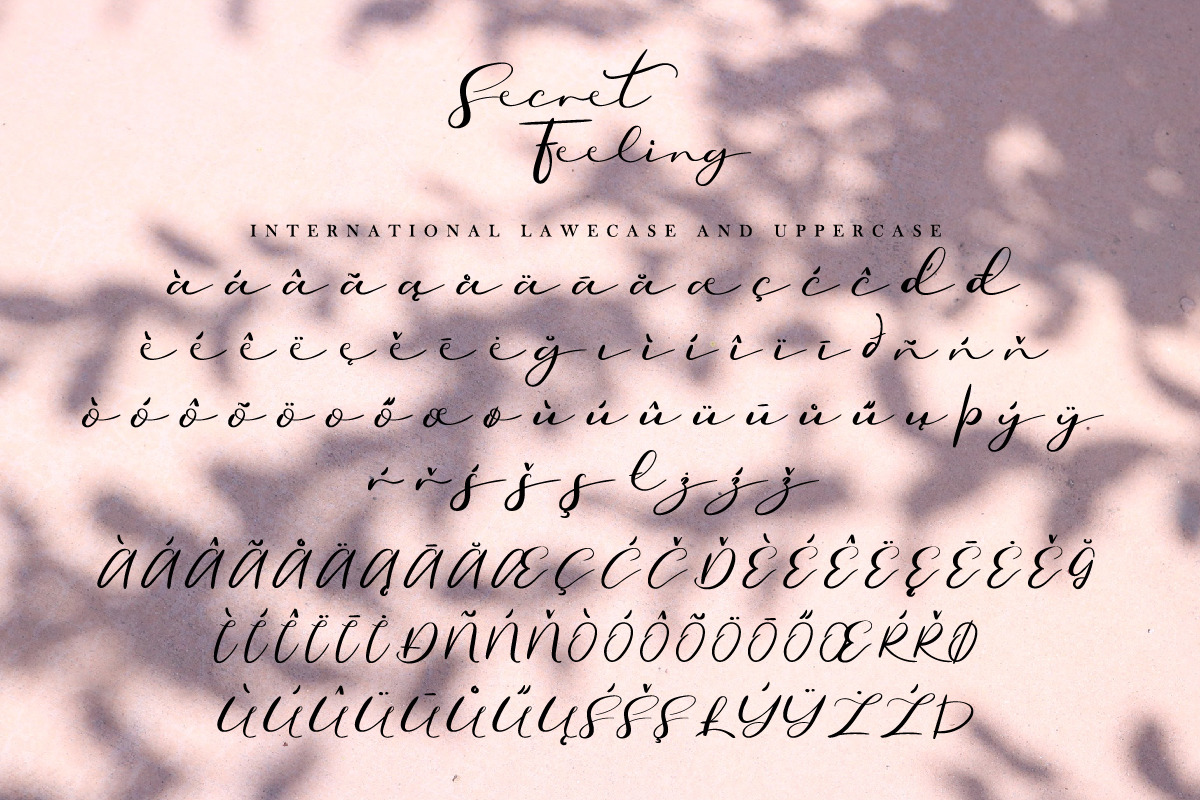 Secret Feeling Calligraphy Font