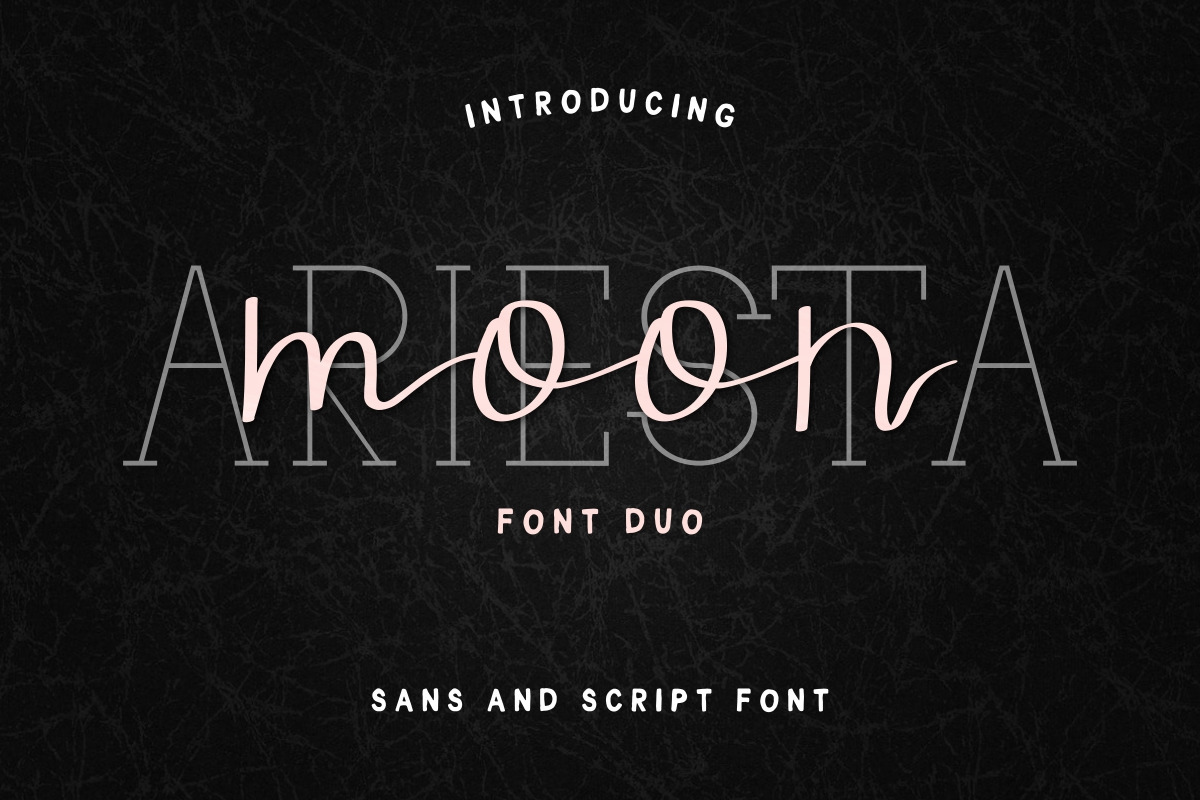 Ariesta Moon Font Duo