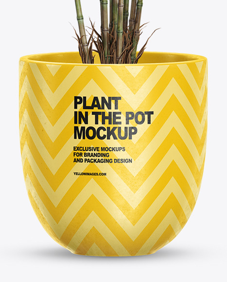 Bamboo in the Pot Mockup