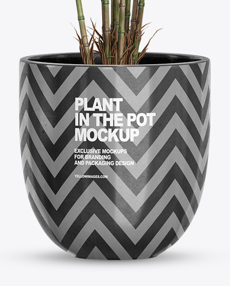 Bamboo in the Pot Mockup