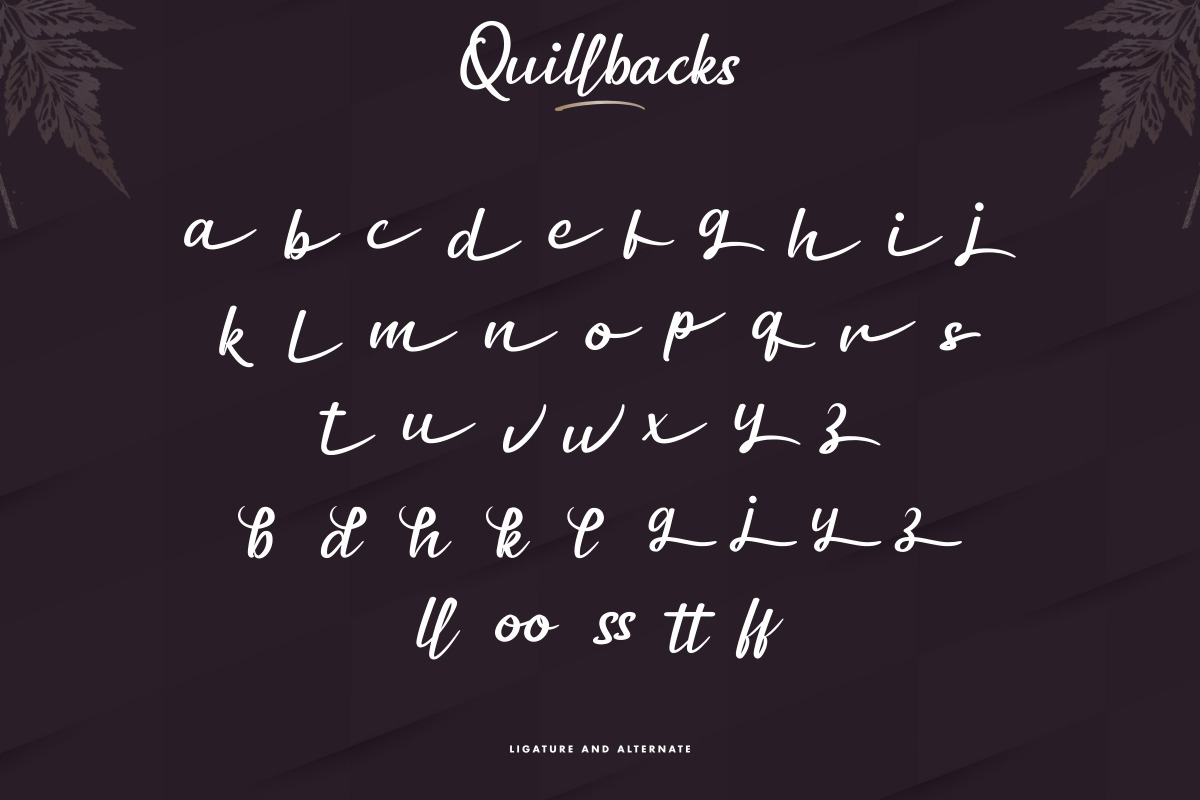 Quillbacks Handwriting Calligraphy Font Quillbacks Handwriting Calligraphy Font