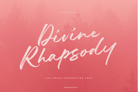 Divine Rhapsody Font - Brushscript