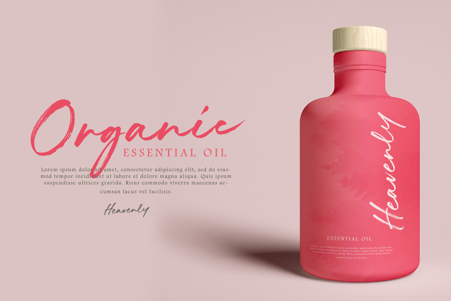 Divine Rhapsody Font Divine Rhapsody Font